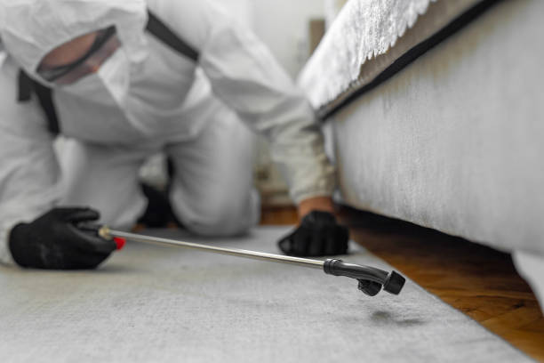Professional Termite Control technician working in Riverside, MD