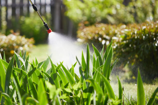 24/7 Emergency Termite Control experts in Riverside, MD